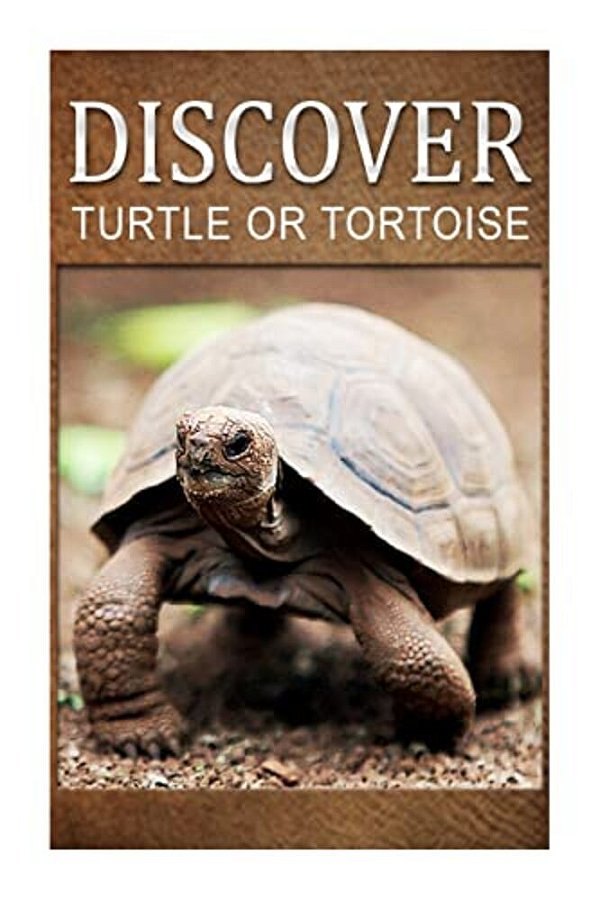 Turtle Or Tortoise - Discover: Early Reader's Wildlife Photography Book-..