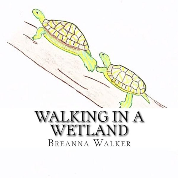 Walking In A Wetland-..