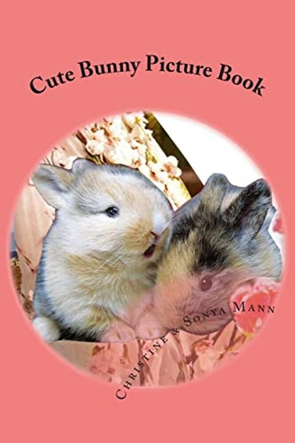 Cute Bunny Picture Book: Whimsical Collages Of Rabbit Habits-..