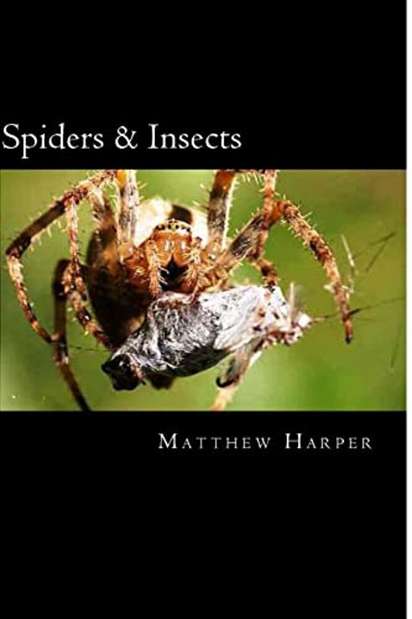 Spiders & Insects: Two Fascinating Books Combined Together Containing Facts, Trivia, Images & Memory Recall Quiz: Suitable For Adults & Children-..