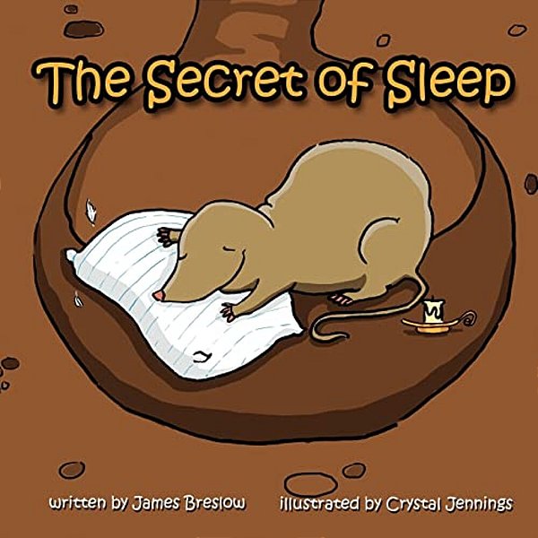 The Secret Of Sleep-..