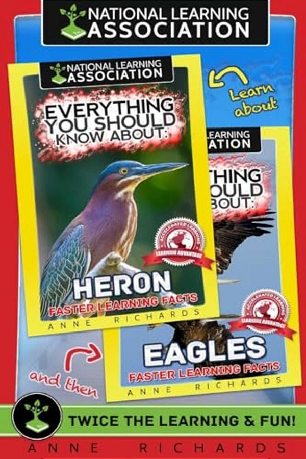 Everything You Should Know About: Eagles And Herons-..