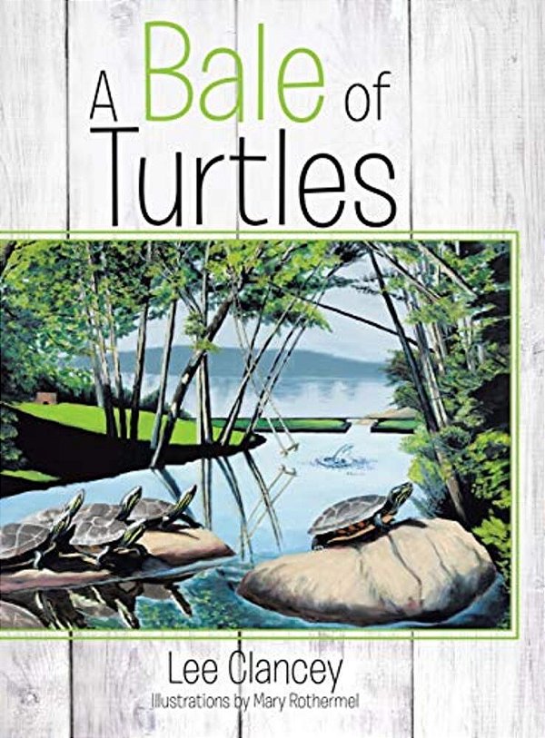 A Bale Of Turtles-..