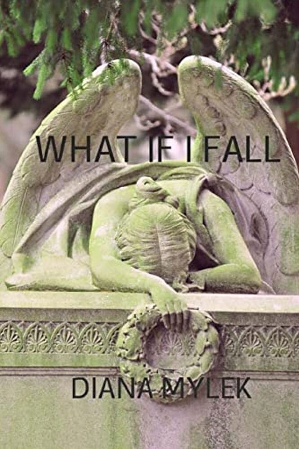What If I Fall-..