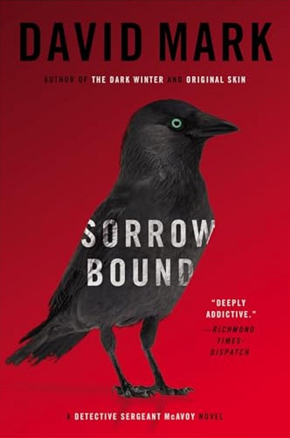 Sorrow Bound: A Detective Sergeant Mcavoy Novel-..