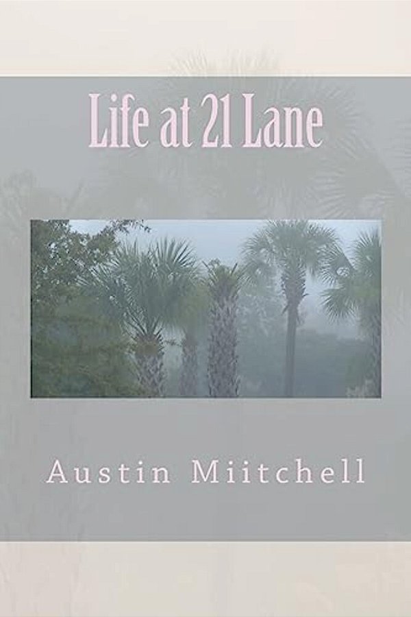 Life At 21 Lane-..