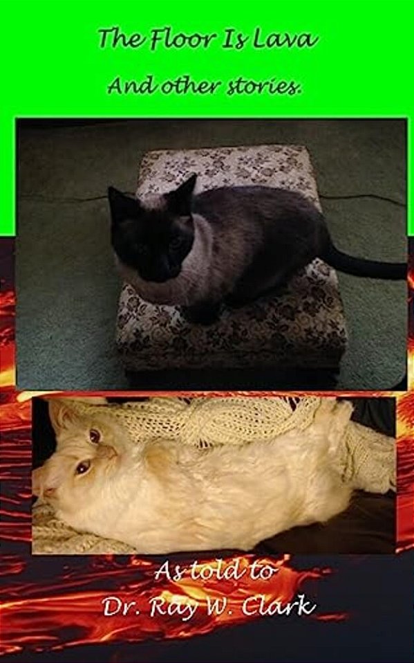 The Floor Is Lava-..