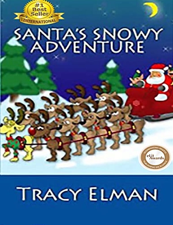 Santa's Snowy Adventure-..