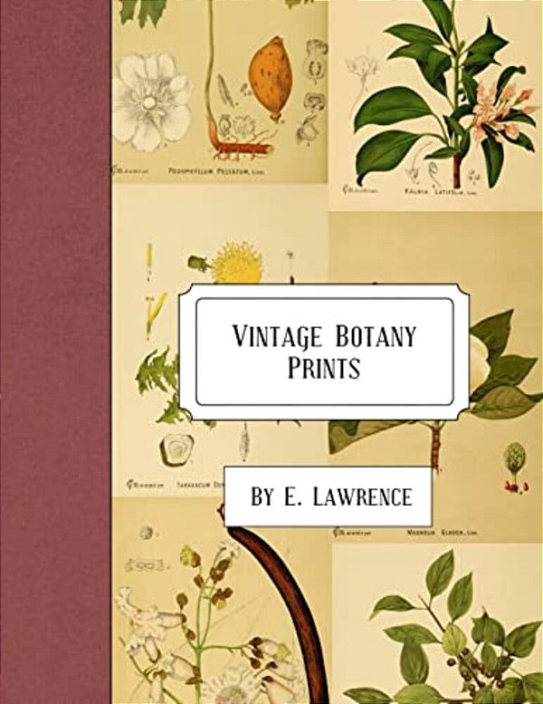 Vintage Botany Prints-..