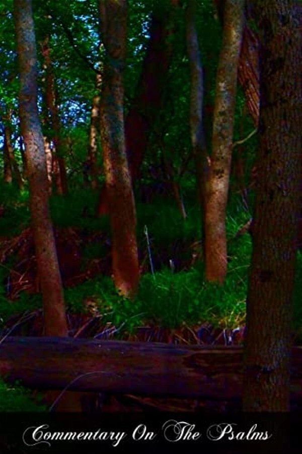 Commentary On The Psalms: Psalms 1 - 50-..