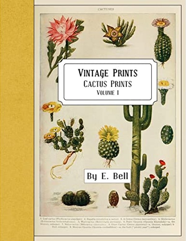 Vintage Prints: Cactus Prints-..