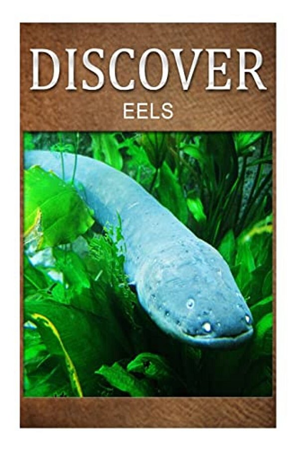Eels - Discover: Early Reader's Wildlife Photography Book-..