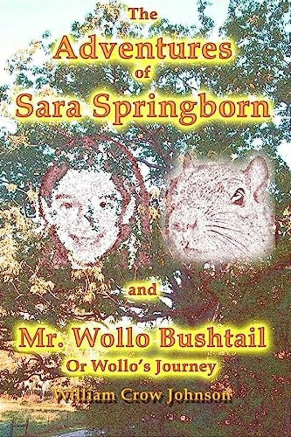 The Adventures Of Sara Springborn And Mr. Wollo Bushtail: Or Wollo's Journey-..