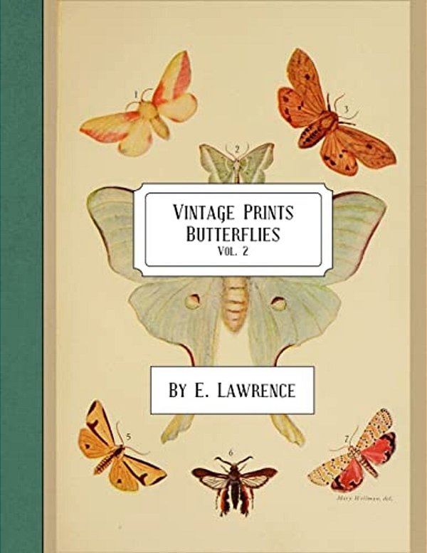 Vintage Prints: Butterflies: Vol. 2-..