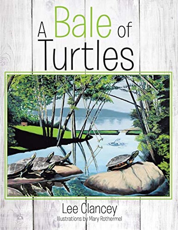 A Bale Of Turtles-..