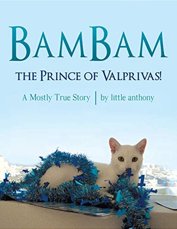 Bambam, The Prince Of Valprivas!: A Mostly True Story-..