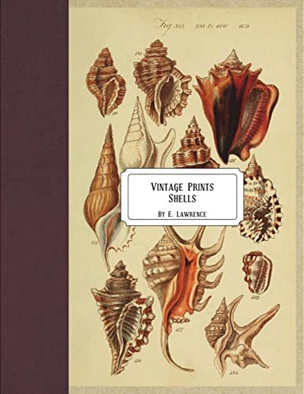 Vintage Prints: Shells-..