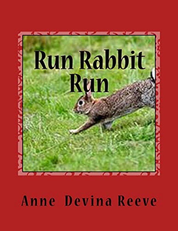Run Rabbit Run By Anne Devina Reeve: World War 11 Anna And Her Gang Discover Strange Things Happening-..