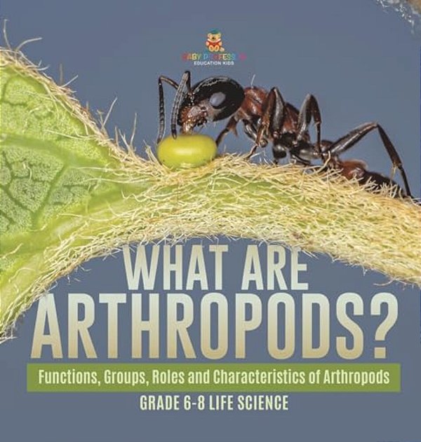 What Are Arthropods? Functions, Groups, Roles And Characteristics Of Arthropods Grade 6-8 Life Science-..