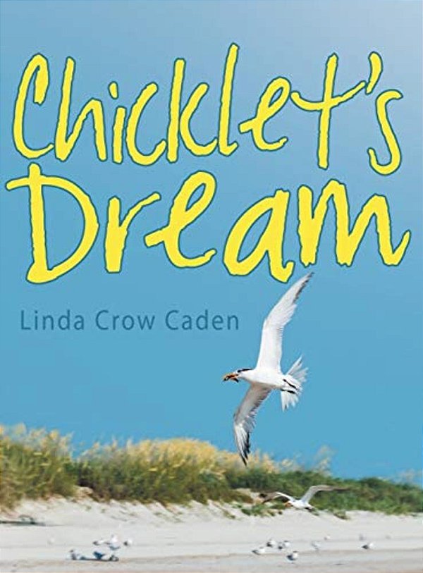 Chicklet's Dream-..