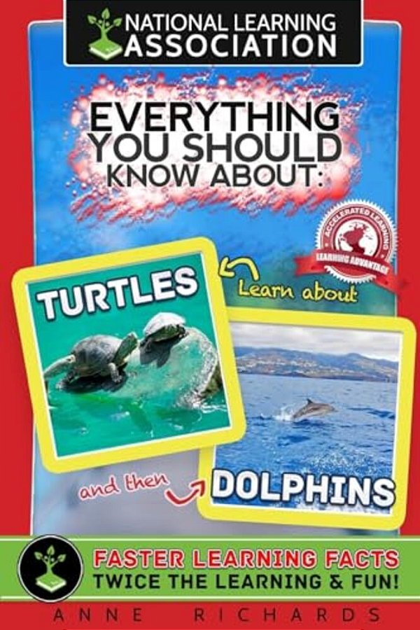 Everything You Should Know About: Turtles And Dolphins-..