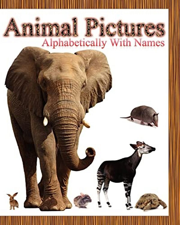 Animal Pictures Alphabetically With Names-..
