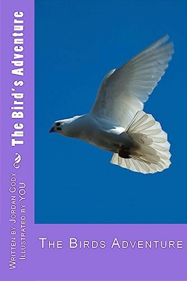 The Bird's Adventure-..