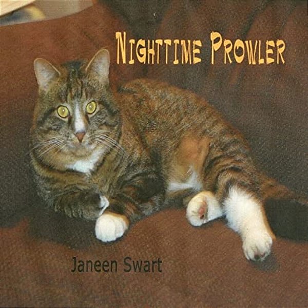 Nighttime Prowler-..