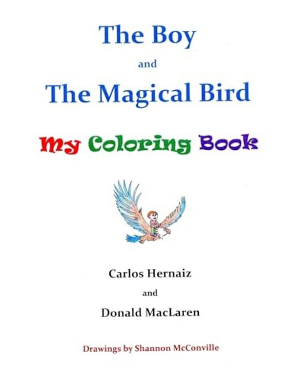 The Boy And The Magical Bird-..