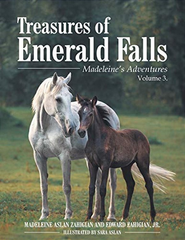 Treasures Of Emerald Falls: Madeleine's Adventures - Volume 3. -..