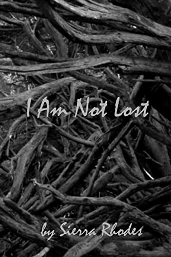 I Am Not Lost-..
