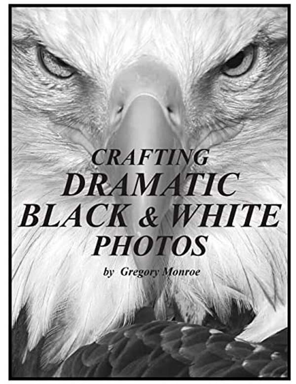 Crafting Dramatic Black & White Photos-..
