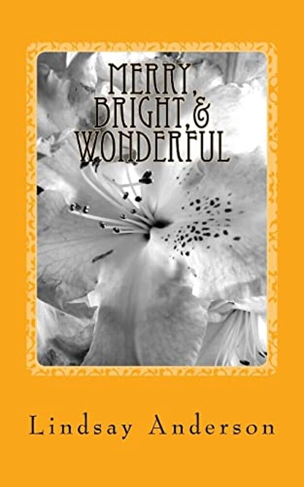 Merry, Bright,& Wonderful: A Beverly Black Novel-..