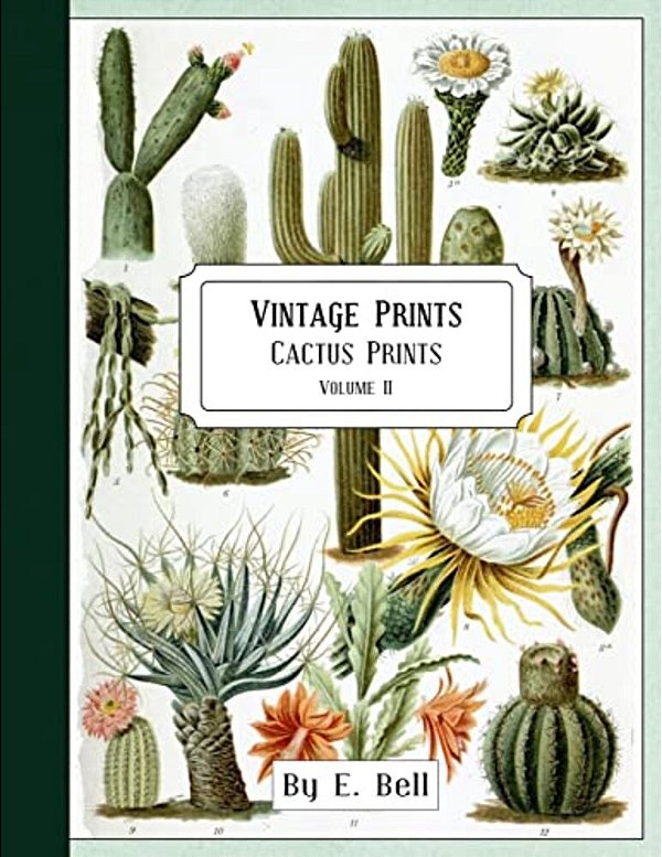 Vintage Prints: Cactus Prints-..