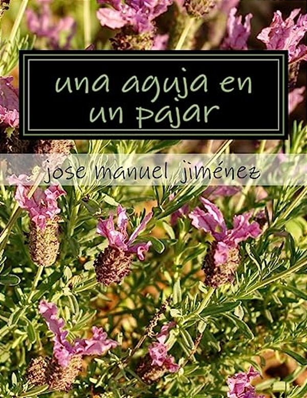 Una Aguja En Un Pajar-..