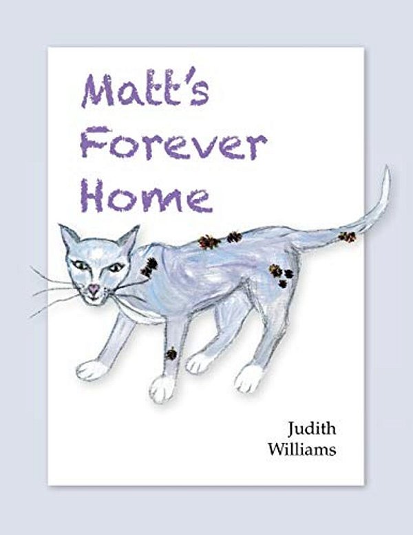 Matt's Forever Home-..