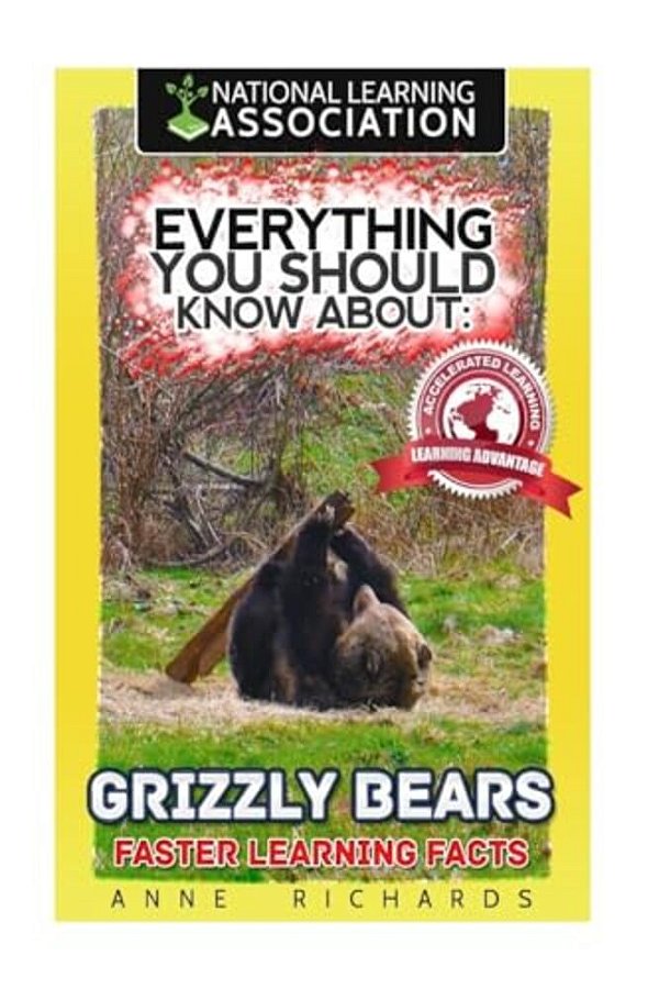 Everything You Should Know About: Grizzly Bears-..