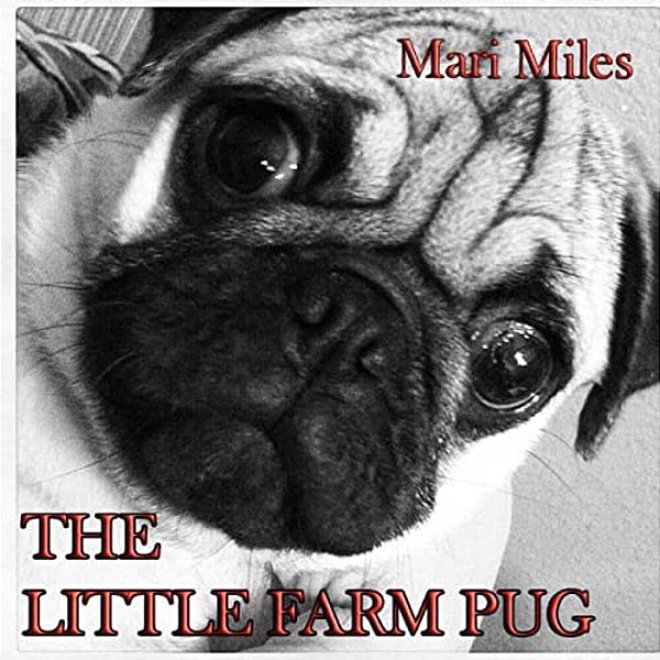 Little Farm Pug-..