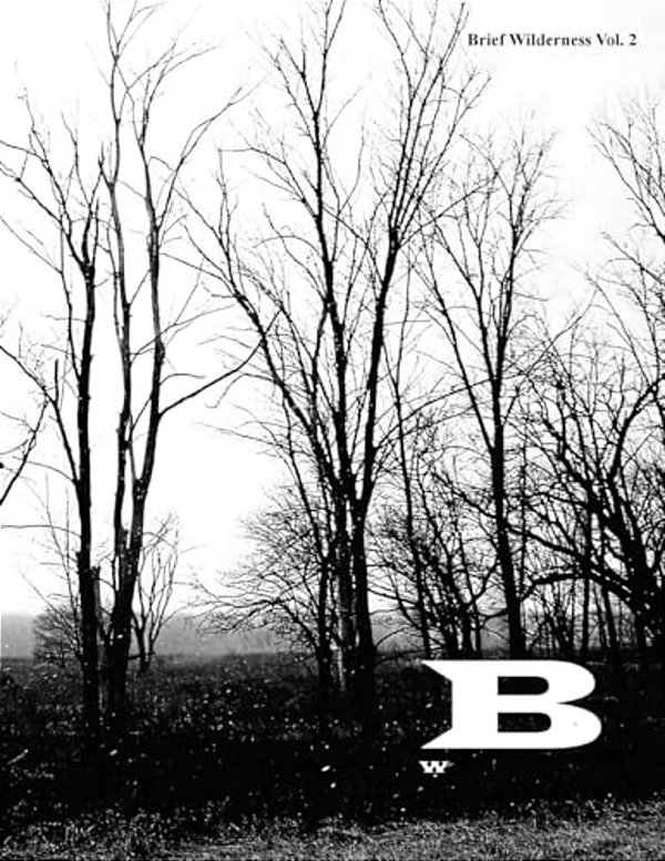 Brief Wilderness: The Space Between-..