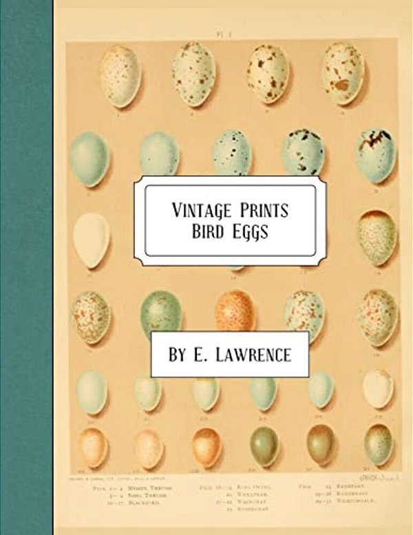 Vintage Prints: Bird Eggs-..