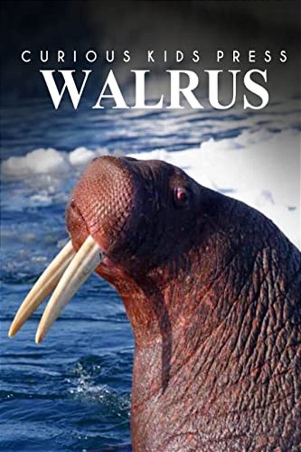 Walrus - Curious Kids Press-..