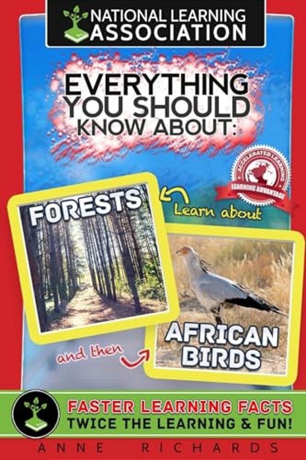 Everything You Should Know About Forests And African Birds-..