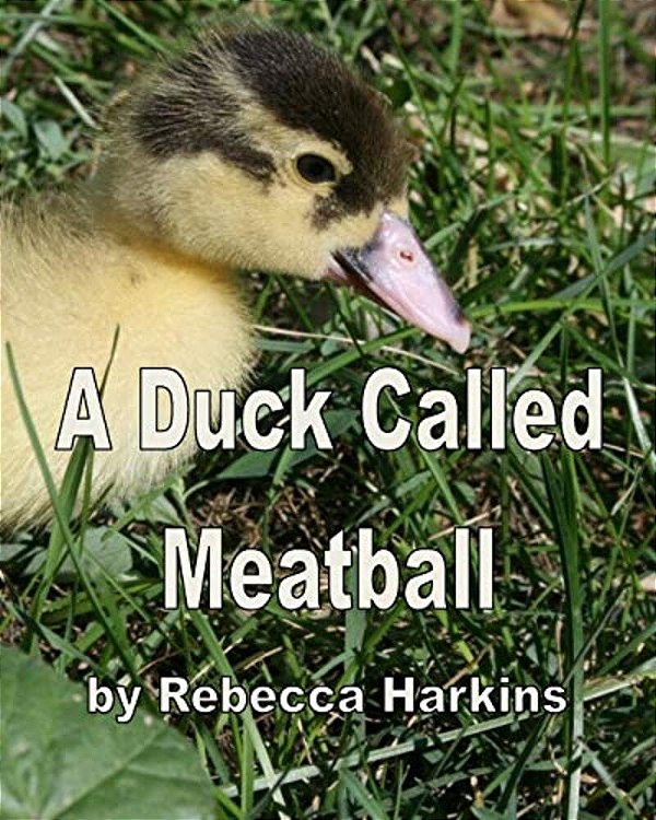 A Duck Called Meatball-..