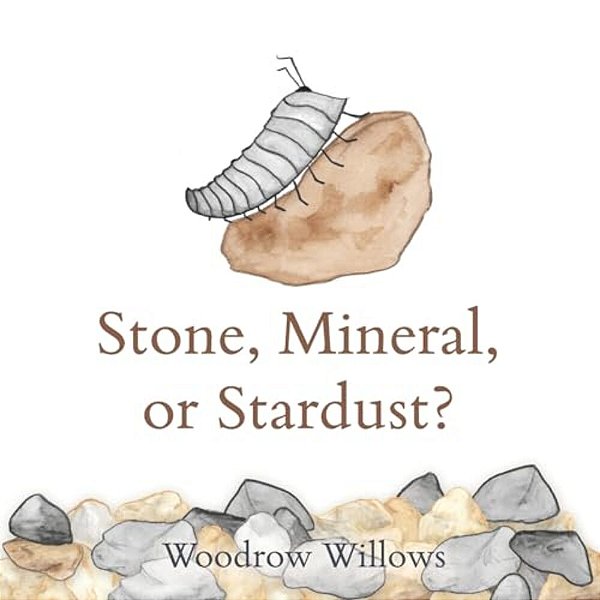 Stone, Mineral, Or Stardust?-..