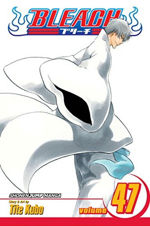Bleach, Vol. 47: End Of The Chrysalis Age-..