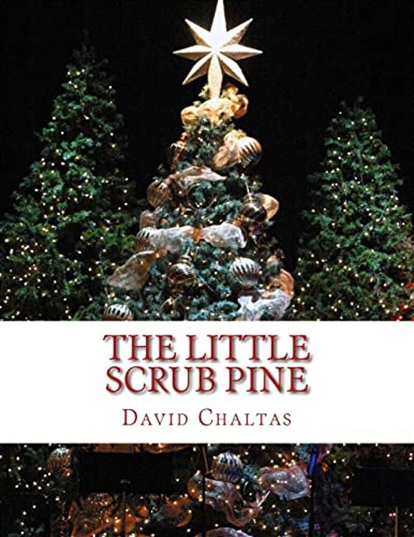The Little Scrub Pine-..