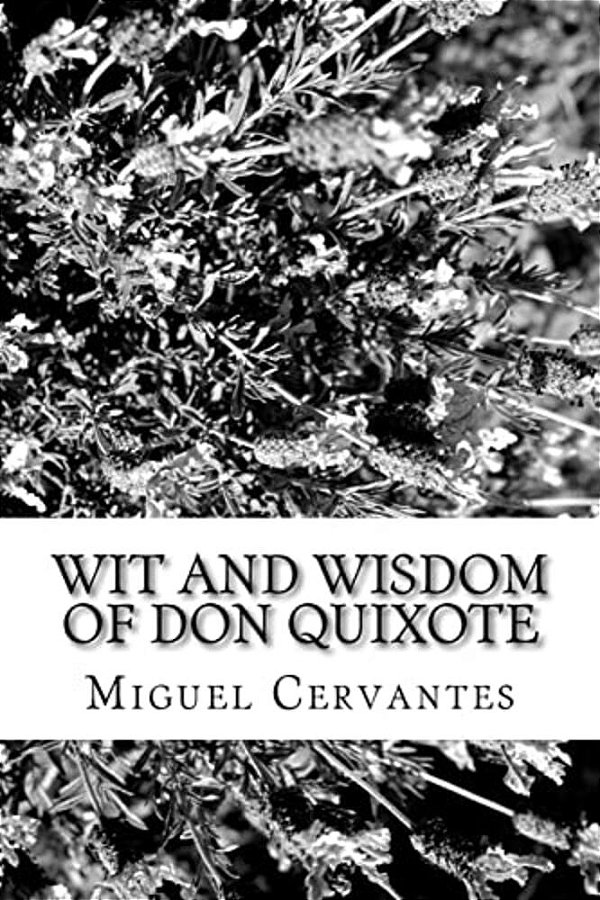 Wit And Wisdom Of Don Quixote-..
