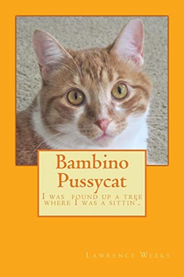 Bambino Pussycat-..