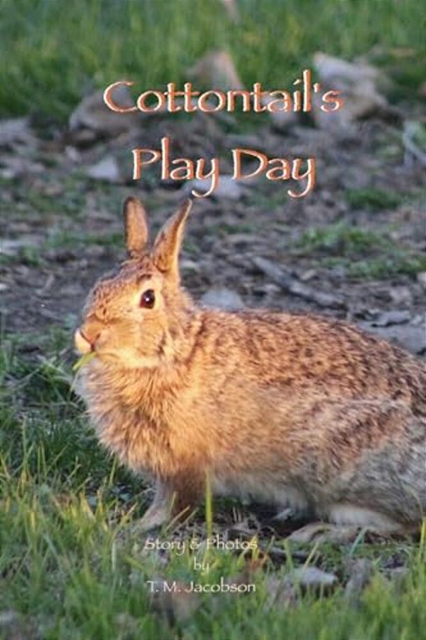 Cottontail's Play Day-..
