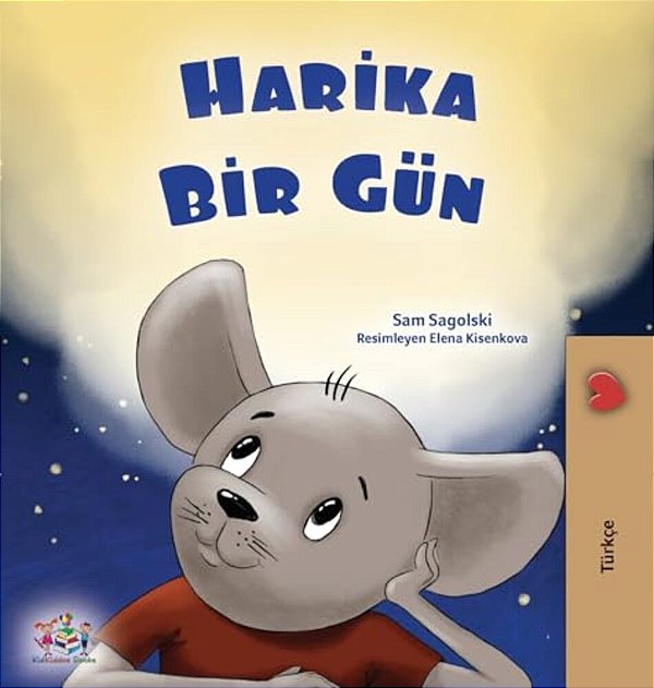 A Wonderful Day (Turkish Book For Children)-..